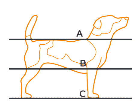 JRT proportions2