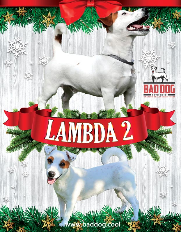 baddog lambda2 teaserposter