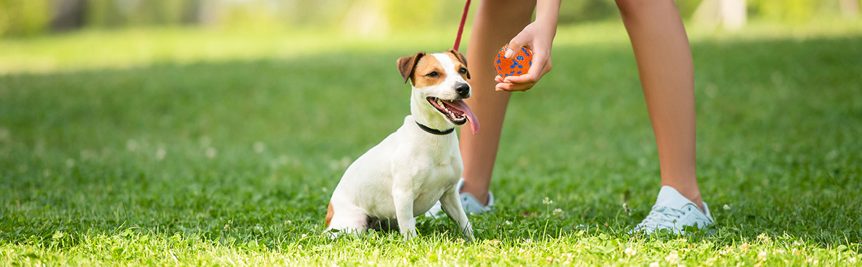 baddog JRT ETPUball