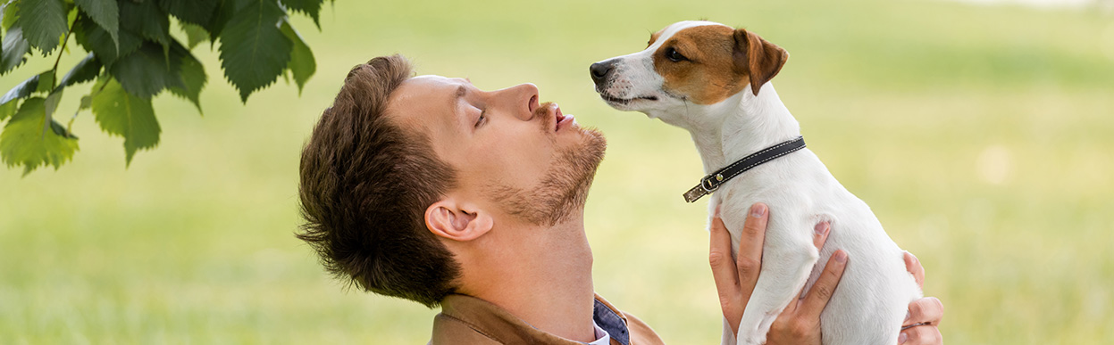 baddog JRT FUNFACTS