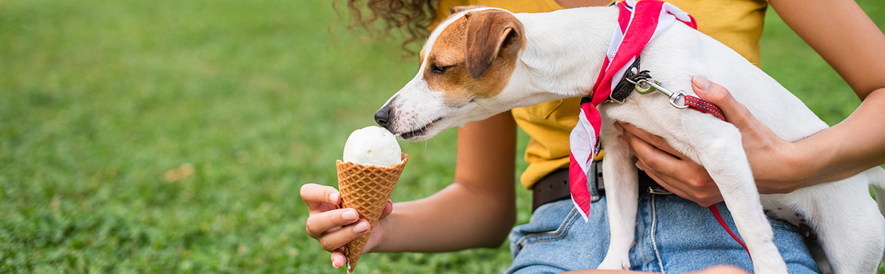baddog JRT HEATSTROKE