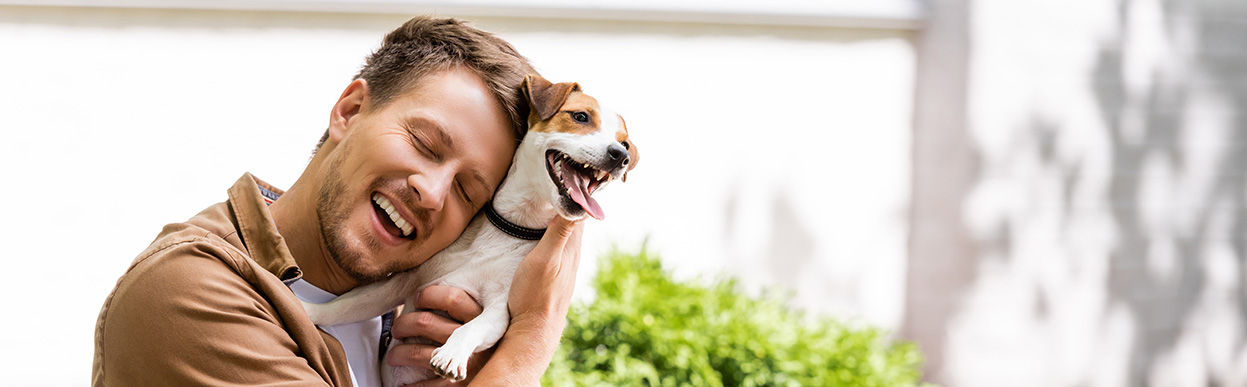 baddog JRT assistancedog