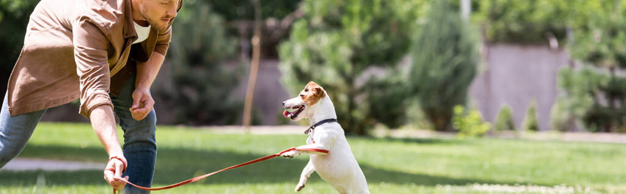 baddog JRT campbell