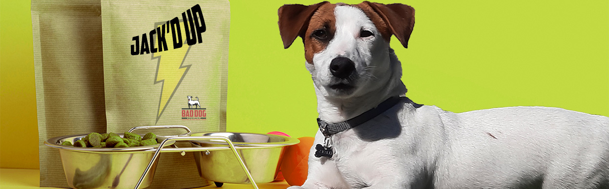 baddog JRT dogfood jrt