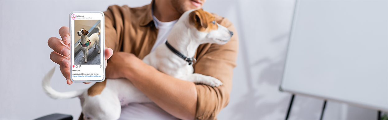 baddog JRT doginfluencer