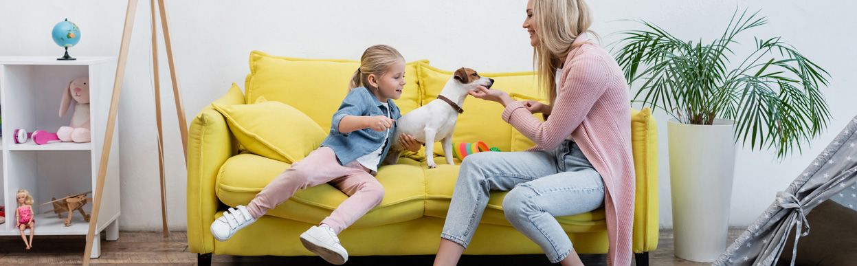 baddog JRT goodwithkids