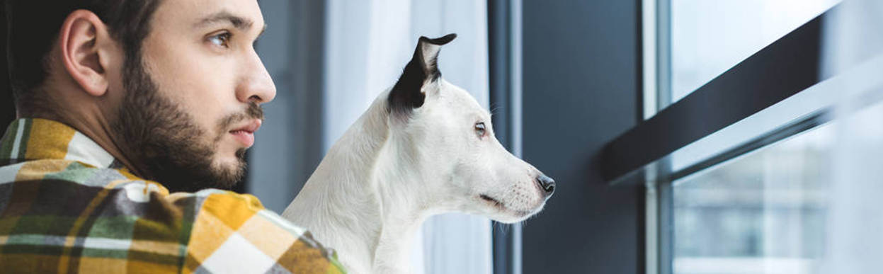 baddog JRT throughtheeyes