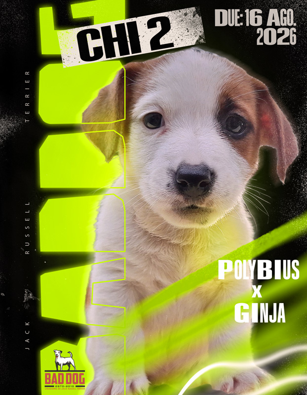chi2 litter 800