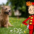 Spirou