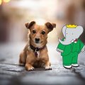 babar
