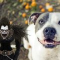 Ryuk