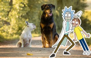 Rick-and-Morty