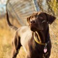 Evita