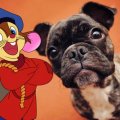 Fievel