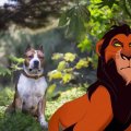 Scar