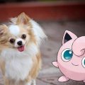 JIGGLYPUFF