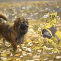 kadabra