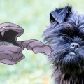 muk