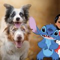 stitch.1