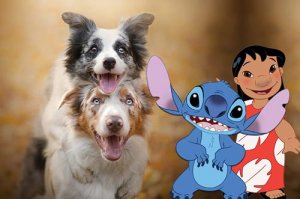 Lilo & Stitch