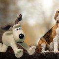 Gromit