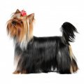 Khloe