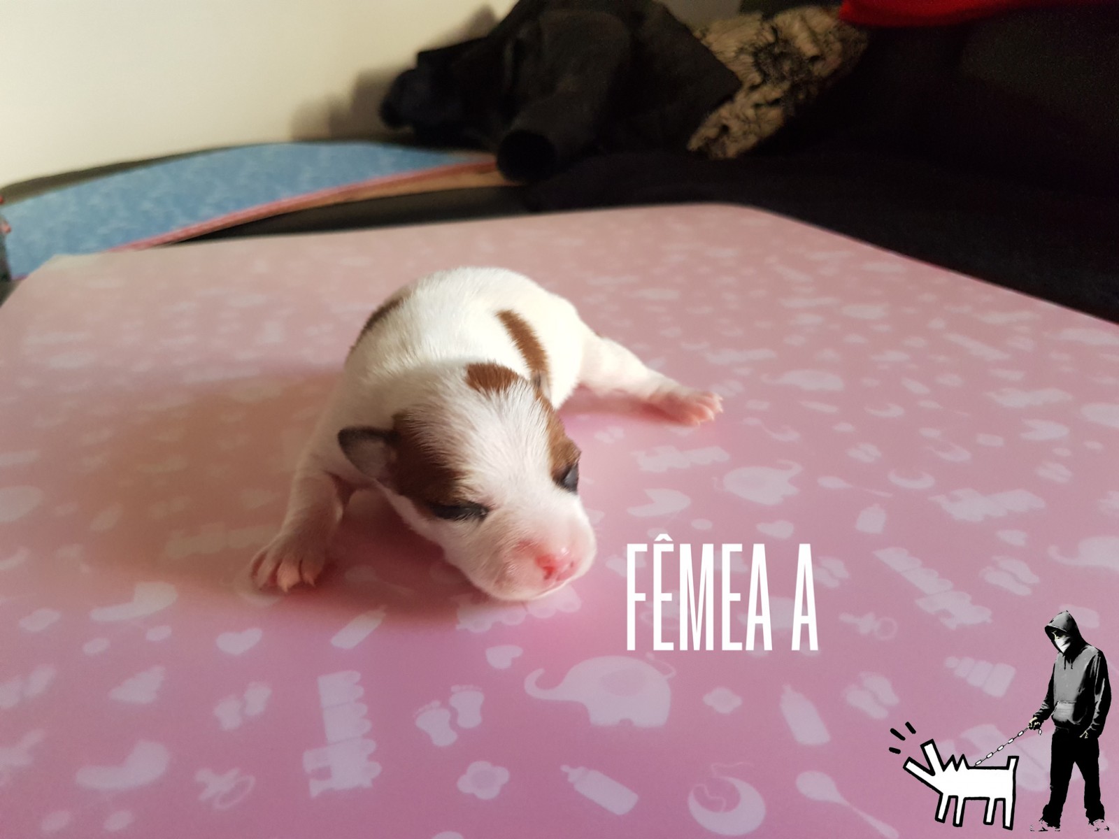 Fêmea A