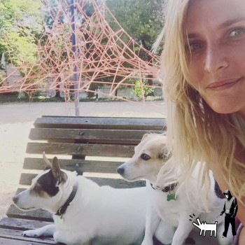 Também a actriz Inês Castel-Branco não resistiu aos seus encantos e, não tem um mas dois cães da raça Jack Russell Terrier.