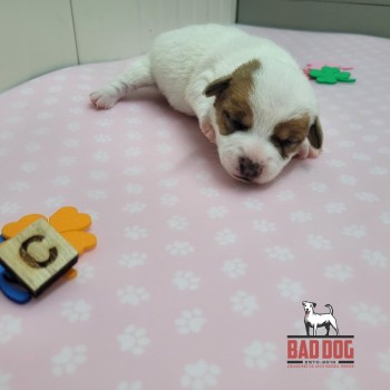 FÊMEA C - RESERVADA