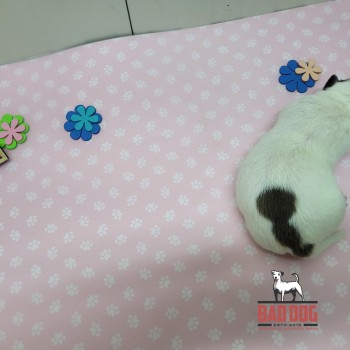 FÊMEA A - RESERVADA