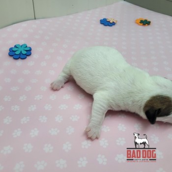 FÊMEA C - RESERVADA