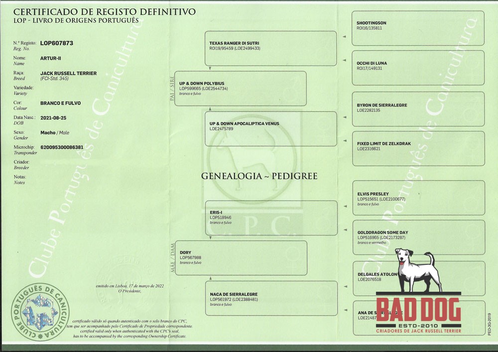 Certificado de Registo no CPC.
Pode ser LOP ou RI.